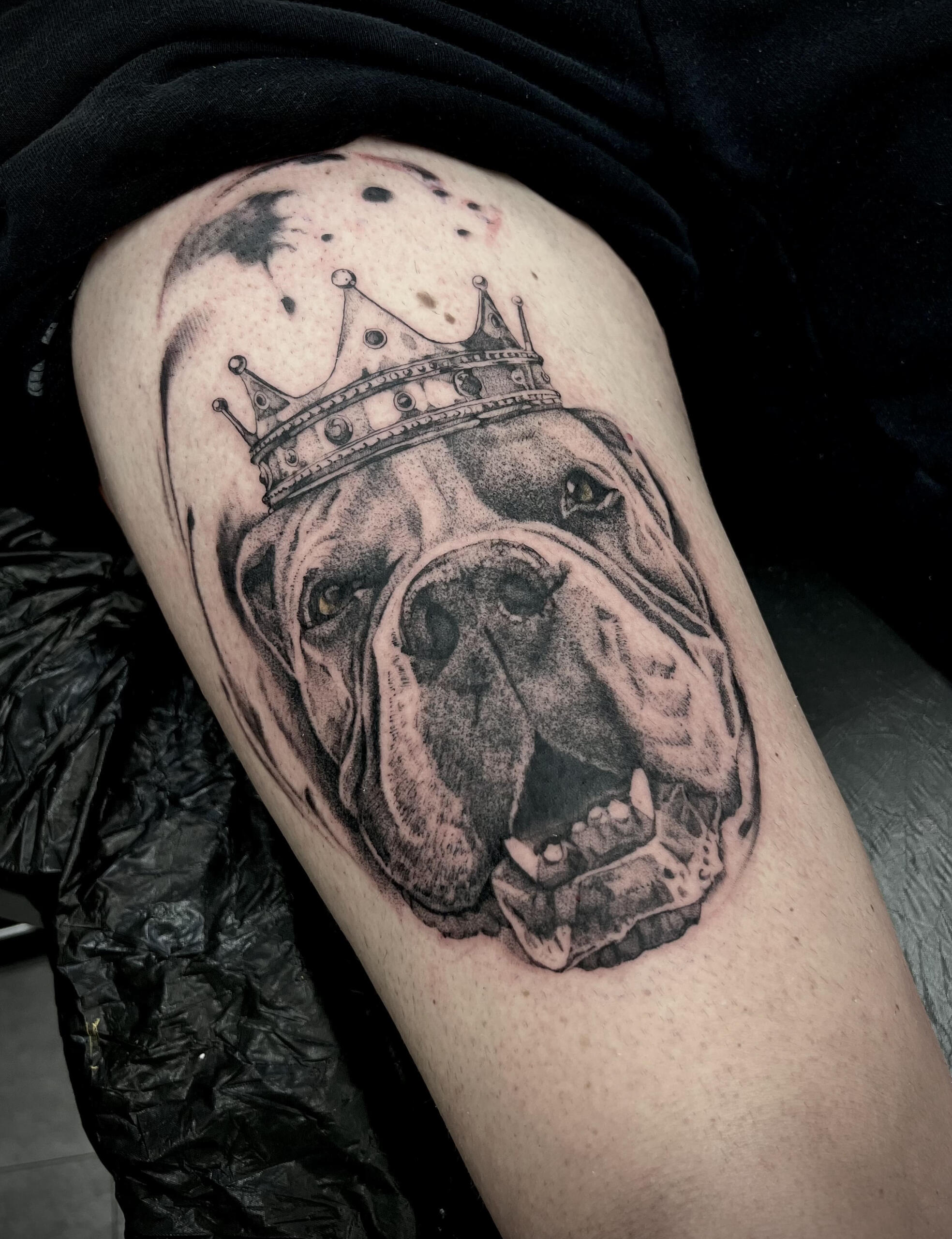 Realistic dog tattoo